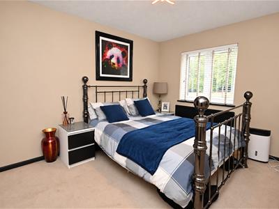 Picture 10